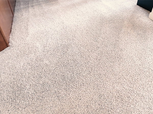 image of what the carpet going into the kitchen looks like once cleaned. Amazing.